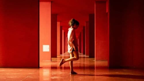 Don't Let the Sun Bild 2