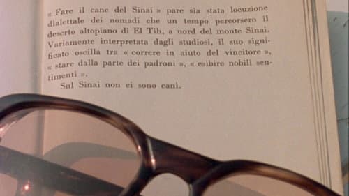 Fortini/Cani Bild 2
