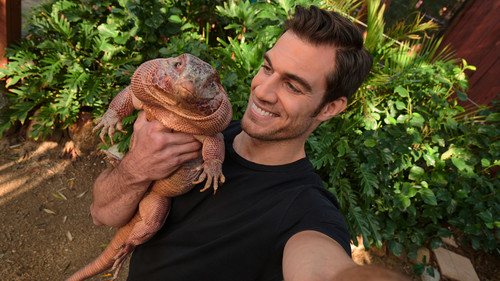 Dr. Evan: Ein Herz für wilde Tiere Bild 2