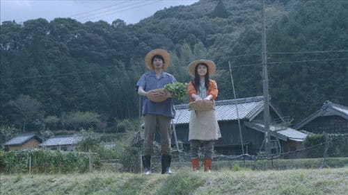 きいろいゾウ Bild 4