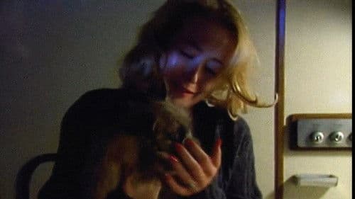 The Camomile Lawn Bild 7