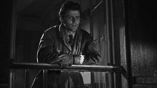 Ein hübscher kleiner Strand Bild 2