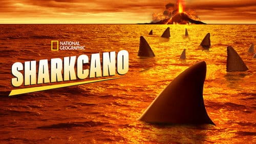 Sharkcano Bild 8