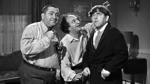 Idiots Deluxe Bild 1