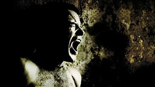 12 Uhr nachts - Midnight Express Bild 3