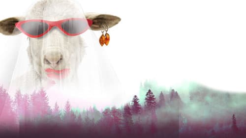 Pup-o, mă! 2: Mireasa nebună Bild 5