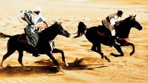 Der schwarze Hengst kehrt zurück Bild 4