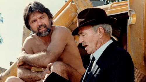 Ein gefährlicher Sommer Bild 1