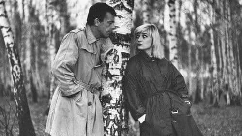 Любить… Bild 1