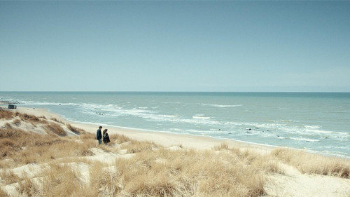 Der Mondfisch Bild 8