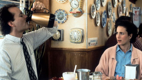 Und täglich grüßt das Murmeltier Bild 5