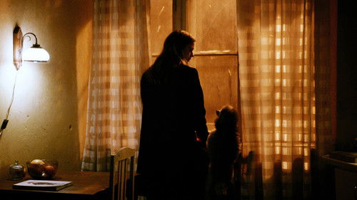 Dogs don't wear Pants Bild 8