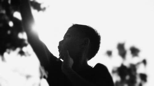 Shifting Courts Bild 1