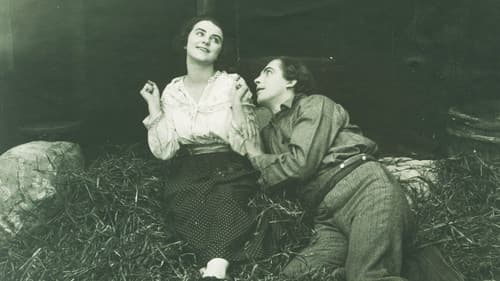 Sången om den eldröda blomman Bild 1