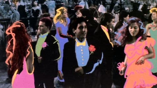 Dance 'Til Dawn Bild 4