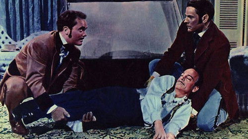 The Gambler from Natchez Bild 4