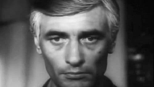 Ploi de toamnă Bild 1