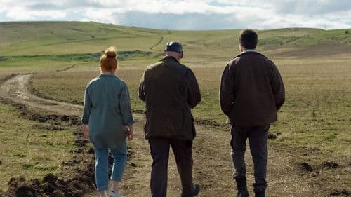 Ancestry Road Bild 4