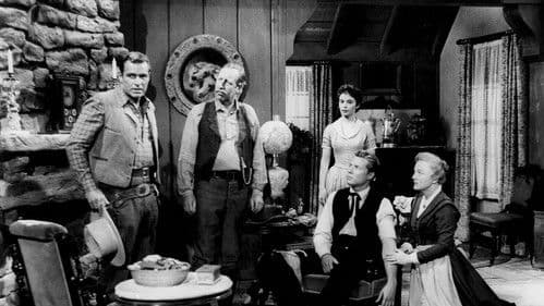 Im Schatten der Schlinge Bild 1