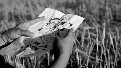 Nameyên ji Şengal Bild 4