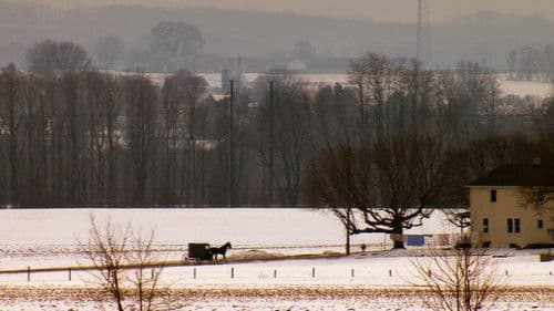 Saving Sarah Cain Bild 2