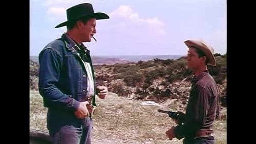 Zweikampf bei Sonnenuntergang Bild 2