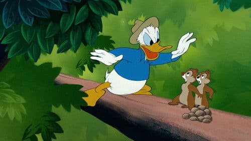 In gefährlicher Lage Bild 3