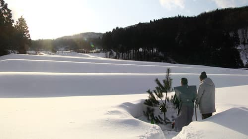 一献の系譜 Bild 1