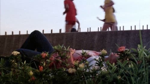 Manila by Night Bild 7