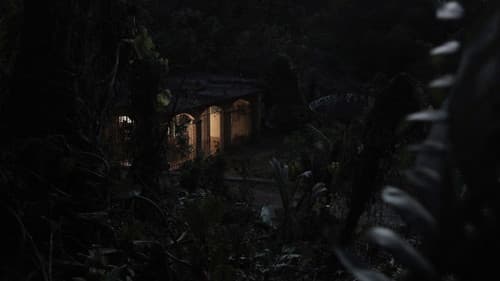 Desvío de noche Bild 1