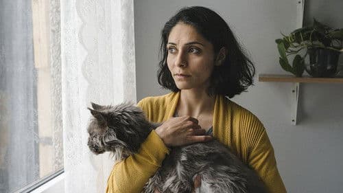 Die defekte Katze Bild 6