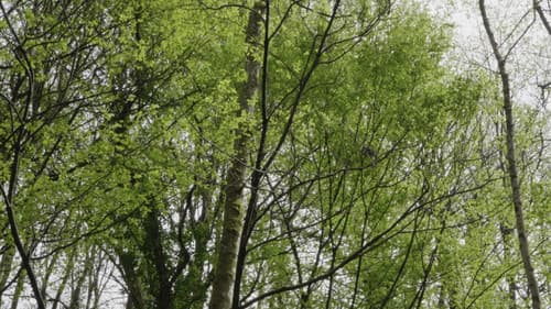 Un regard sur l'oeuvre Bild 3