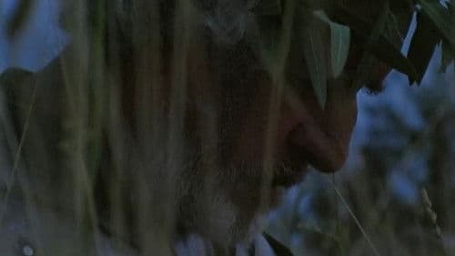 Honor de cavalleria Bild 8