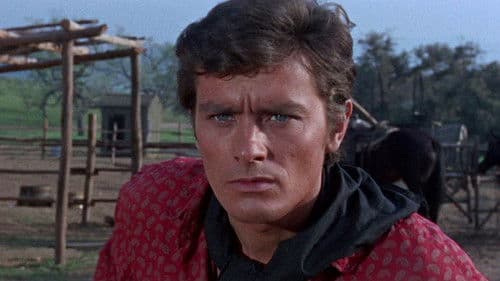 Zwei tolle Kerle in Texas Bild 7