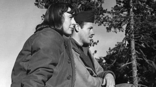 Espías en la arena: Objetivo España Bild 4