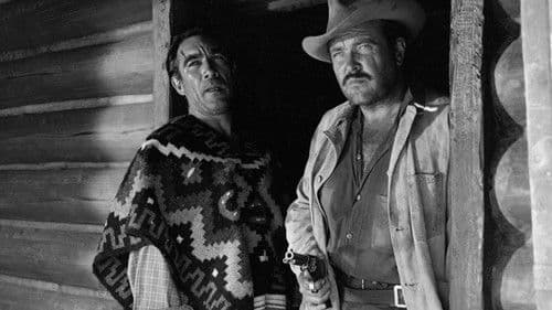 Der Ritt zurück Bild 4