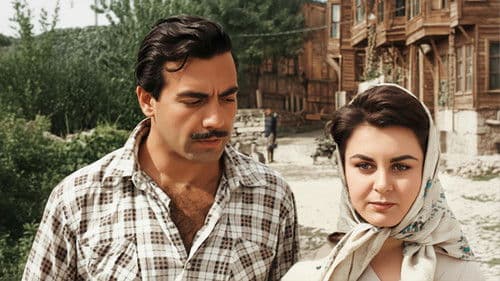 Avare Mustafa Bild 4