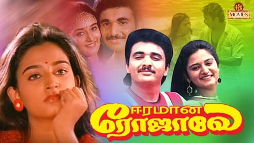 ஈரமான ரோஜாவே Bild 1