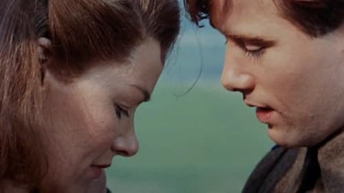 Das dreifache Echo Bild 1