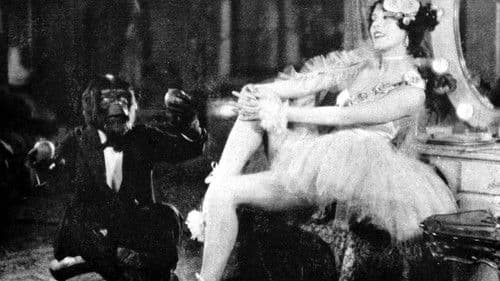 The Monkey Talks Bild 4