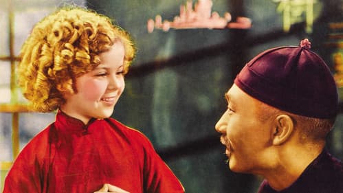 Sonnenscheinchen Bild 8