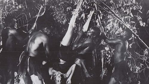 Miss Robin Crusoe Bild 1