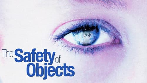 The Safety of Objects Bild 4