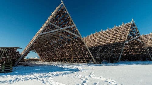 The Age of Nature Bild 1