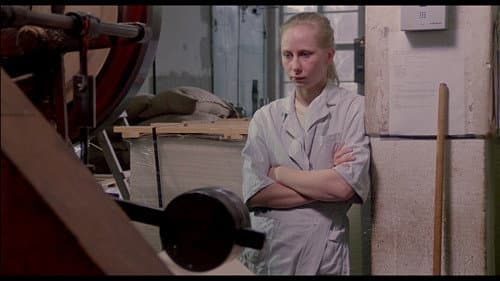 Das Mädchen aus der Streichholzfabrik Bild 6