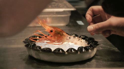 Ants on a Shrimp Bild 1