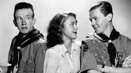 Henry Aldrich, Boy Scout Bild 1