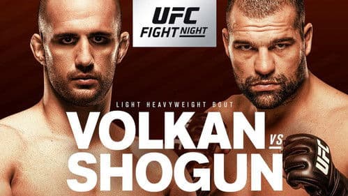 UFC Fight Night 134: Shogun vs. Smith Bild 2