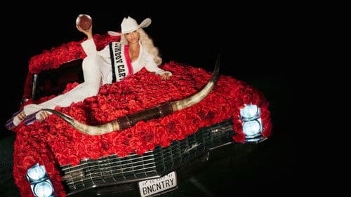 Beyoncé Bowl Bild 7