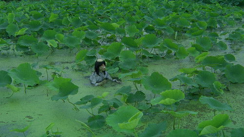 おんなの河童 Bild 4